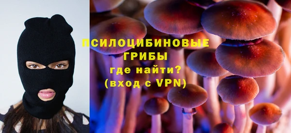 амф Алексин