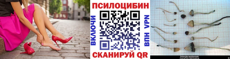 Галлюциногенные грибы Cubensis  darknet клад  Добрянка 